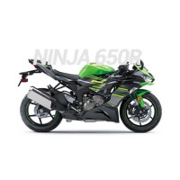 Kawasaki Ninja 650R Carena