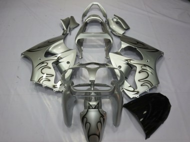 Argent Flamme 2000-2002 Kawasaki ZX6R Carena Moto